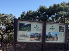 -北京西山国家森林公园