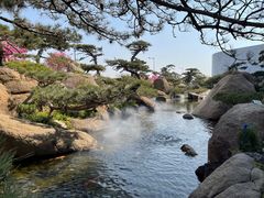 -罗红摄影艺术馆