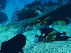 -福州罗源湾海洋世界旅游区