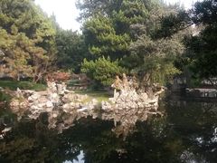-叶家花园