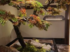 -湘上湘(米其林餐厅-正大中心总店)