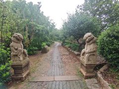 -雨花胜境