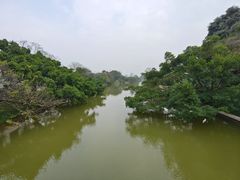 -江心屿景区