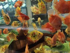 -寻味顺德·珍之宝酒楼(银钻店)