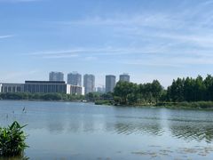 -尚贤河湿地