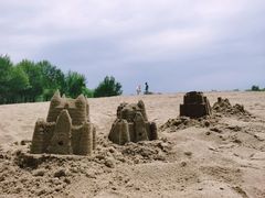 -东郊湿地公园