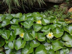 -七彩云南古滇温泉山庄