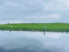 -黑龙江扎龙生态旅游区