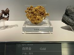 -中国地质博物馆
