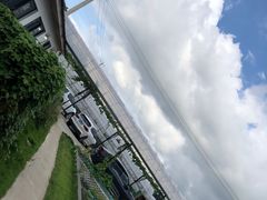 -美家乐农庄·露营·团建(大治路店)