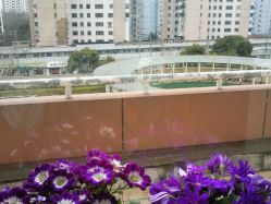 住院部-上海市长宁区妇幼保健院
