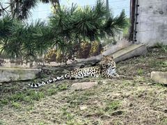 -西霞口神雕山野生动物世界