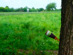 -长兴太湖图影湿地文化园