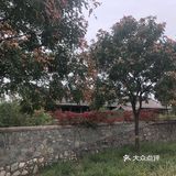 北京西山国家森林公园AAAA