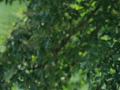 -贵阳市花溪国家城市湿地公园