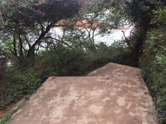 -广州市流溪河国家森林公园
