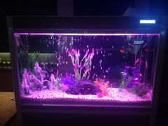 -万达影城IMAX(海口日月广场店)