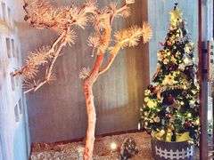 -春熙台韩国料理·章鱼肥牛(西丽店)