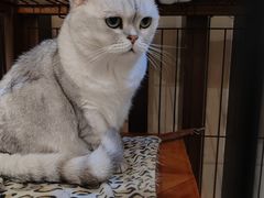 -津菜宋记老房子(鼓楼店)