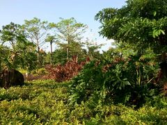 -白沙门生态公园