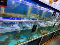 水产区-船梆煮•蒸汽海鲜·炉火烤肉(五四广场店)