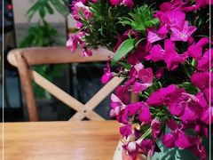 -囿面传统制面馆(中央路店)