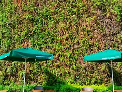 -星巴克(深圳前海企业公馆店)