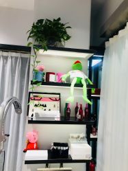 -泽璞堂美发沙龙