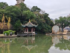 -江心屿景区