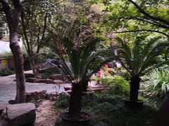 -浙江大学医学院附属第二医院(解放路院区)