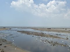 -兰坡海鲜市场