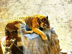 -济南野生动物世界