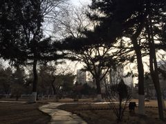 iphone_upload_pic-辽宁大学(崇山校区)