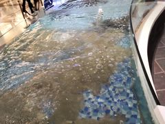 -海鲜码头·中国菜