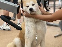 -YCHL Studios健身工作室(市二宫店)