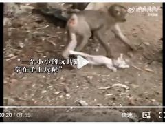 -昆明动物园