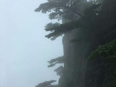-罗田天堂寨风景区