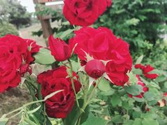 -仙海旅游度假区