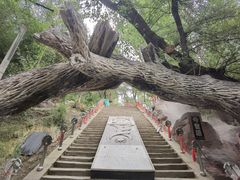 -水磨沟公园