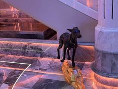 -斯卡拉演艺集团