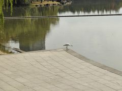 -南翔镇银翔湖公园