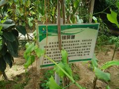 android_upload_pic-水镜湖