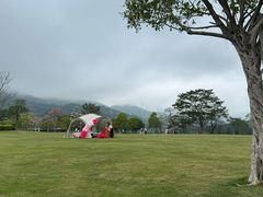 -白石龙音乐公园