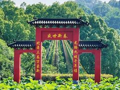 -南山植物园