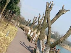 -上海市保健医疗中心(华东疗养院)