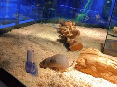 -昆明大悦城未来动物城(螺蛳湾中心店)