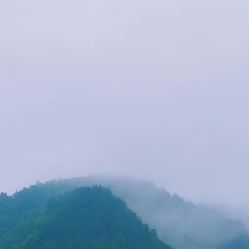 -凡碧诗毛孔收细