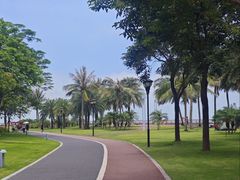 -野狸岛