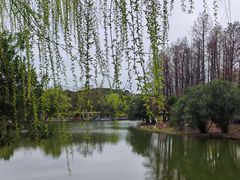 -新江湾城公园