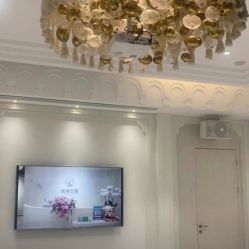 -美丽田园